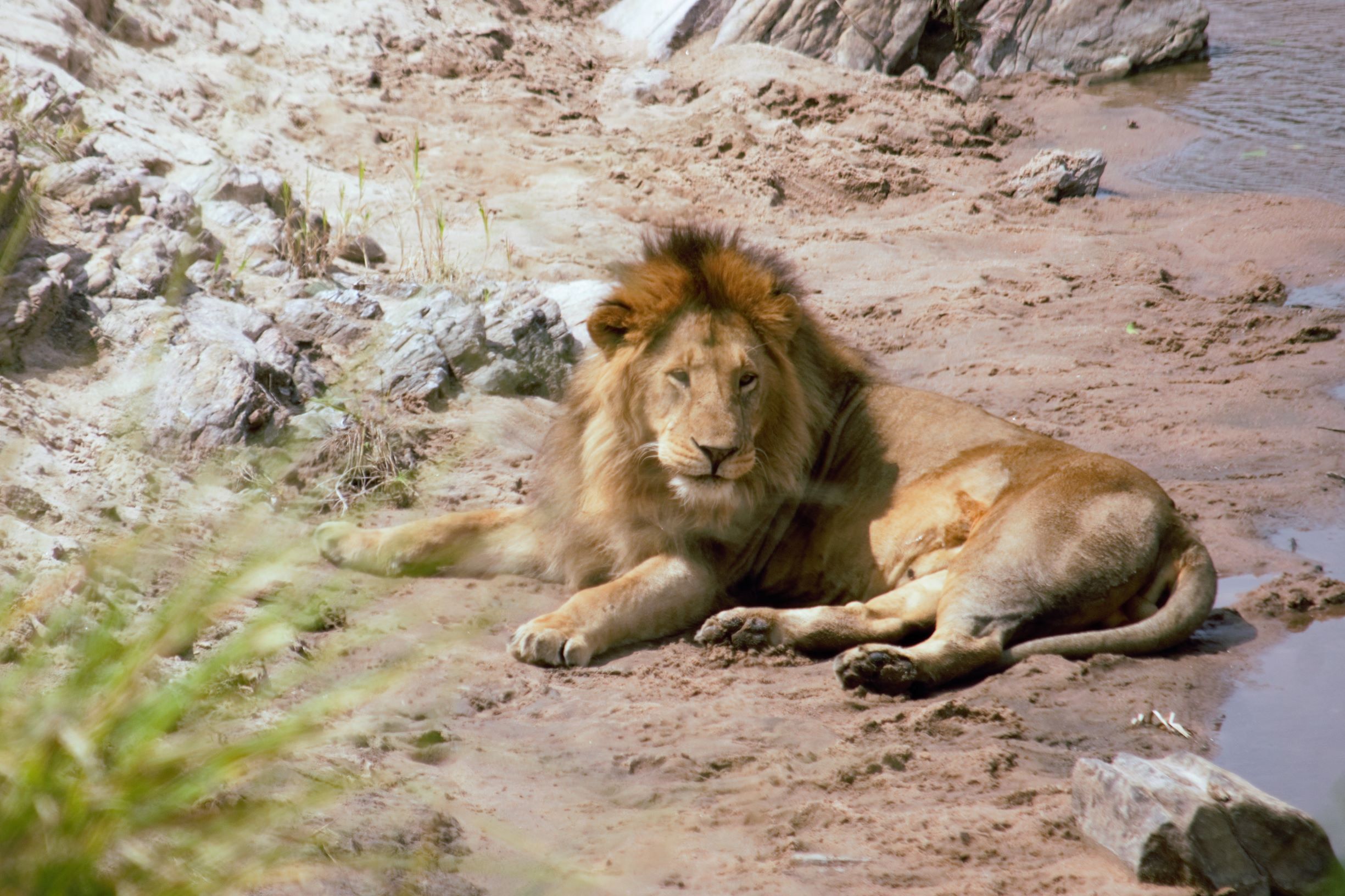 16 Days Machame Route Kilimanjaro Climb Serengeti Ngorongoro Tarangire And Zanzibar Holiday